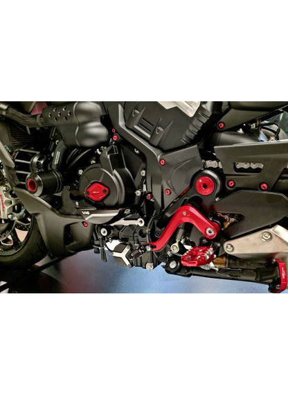 Dynamodeksel beschermer - Ducati Diavel V4 RS 2025+
