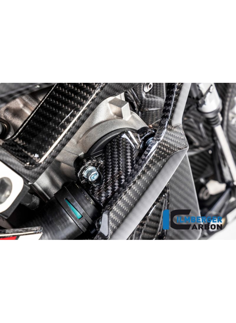 Water pump Cover Carbon BMW M1000RR 2021+