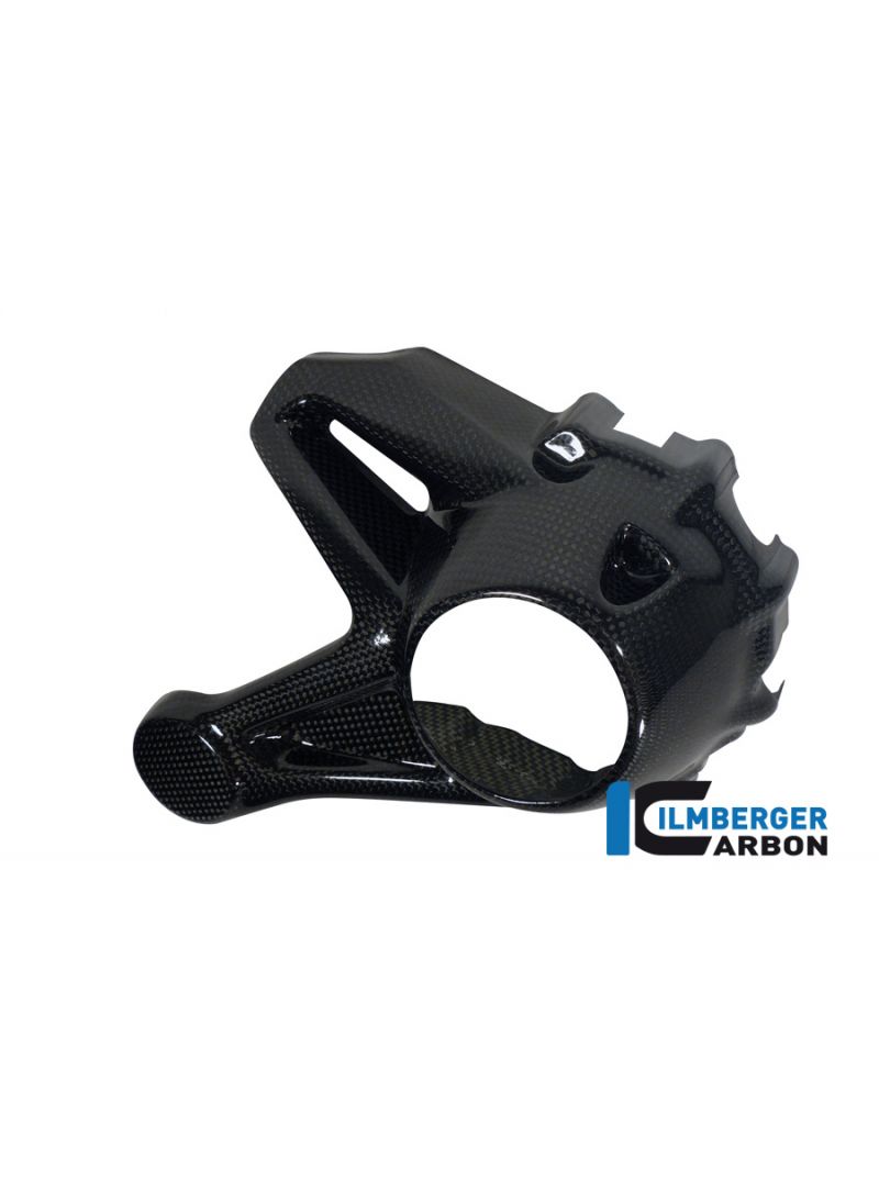 Drive Command Housing Cover Carbon R1200RS (2015-2018)