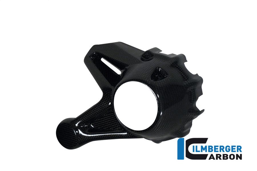 Drive bevel housing cover carbon R1200R LC 2015- BMW R 1200 RS (2015-2018)