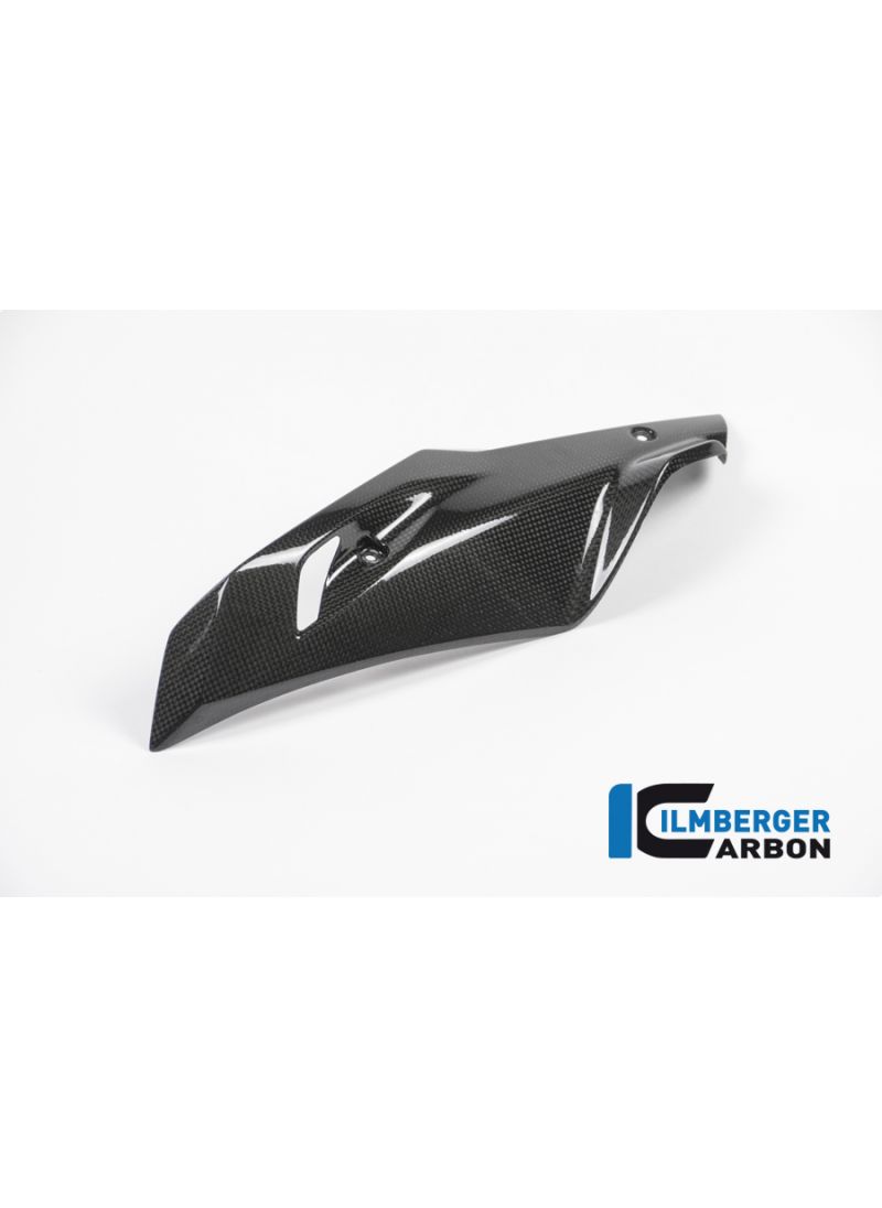 Bellypan left Side Carbon - BMW R1200RS LC (2015+)