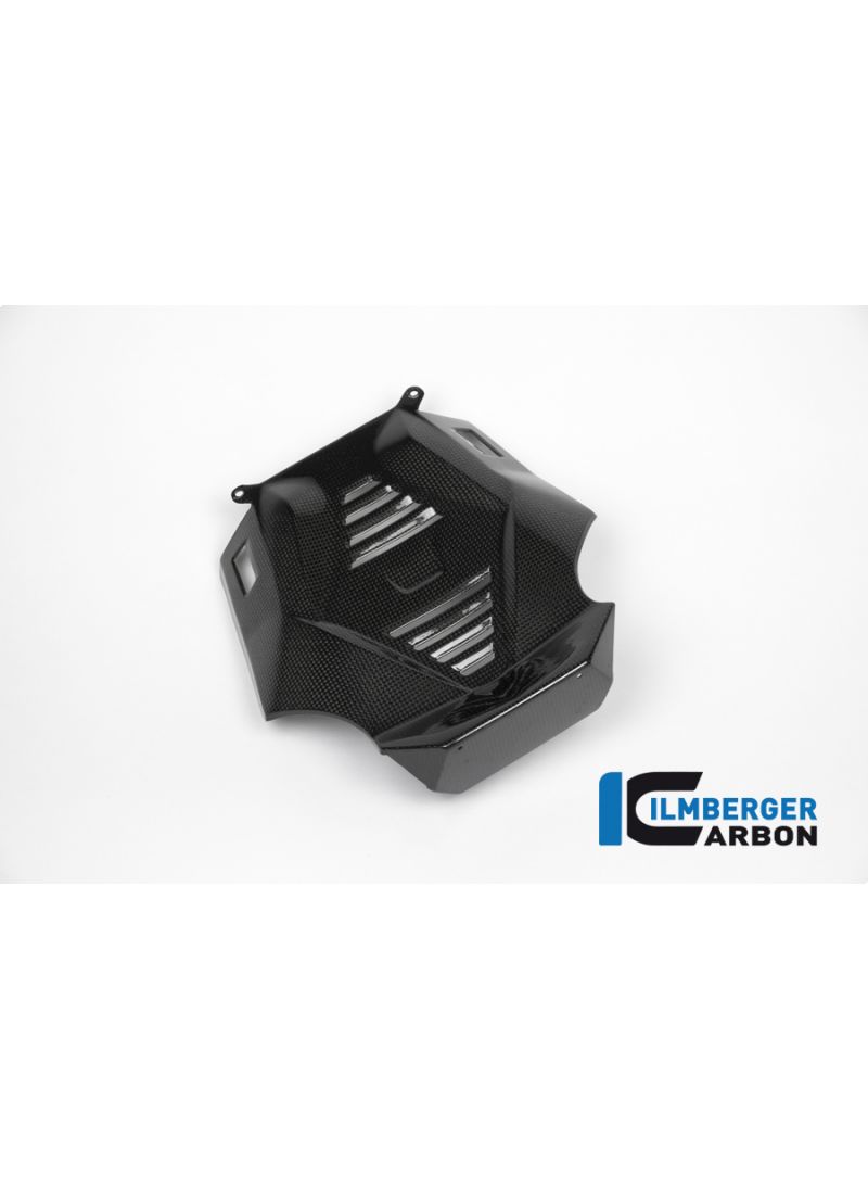 Bellypan Central Parte Carbon - BMW R1200RS LC (2015+)