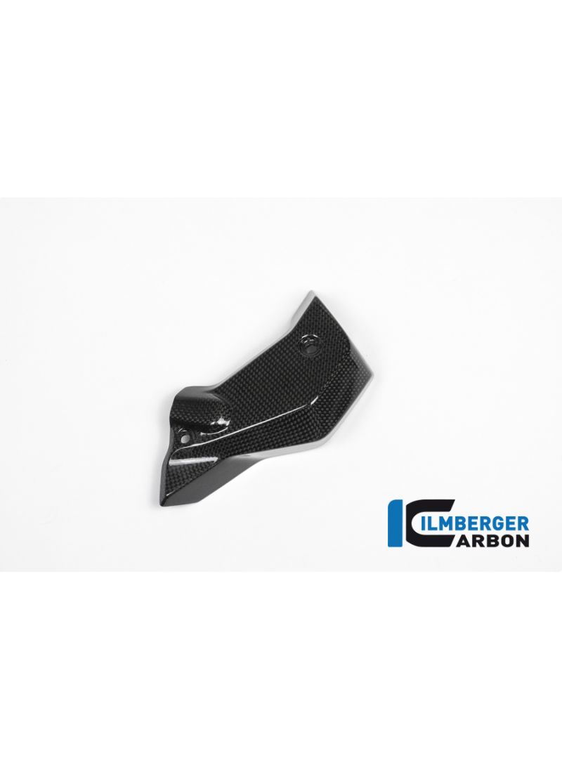 Couverture du radiateur Left Carbon R1200R (2015-2018)