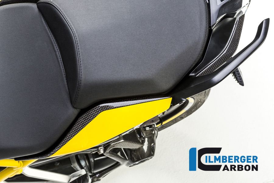 
                  
                    Rechte Seitenplatte unter Sitzvertretung Carbon R1200RS LC 2015- BMW R1200RS (2015-2018)
                  
                