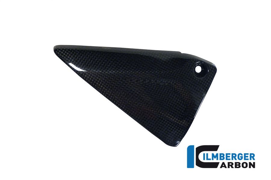 Frame Panel Left Carbon R1200RS LC (2015+)