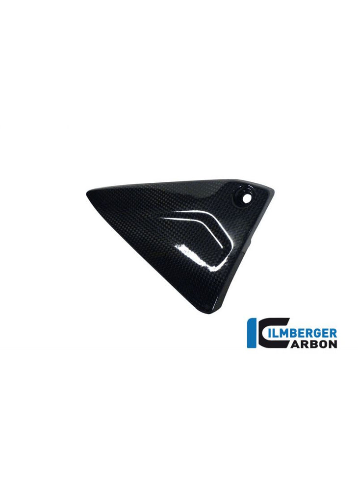 Frame Panel Left Carbon R1200RS (2015-2018)