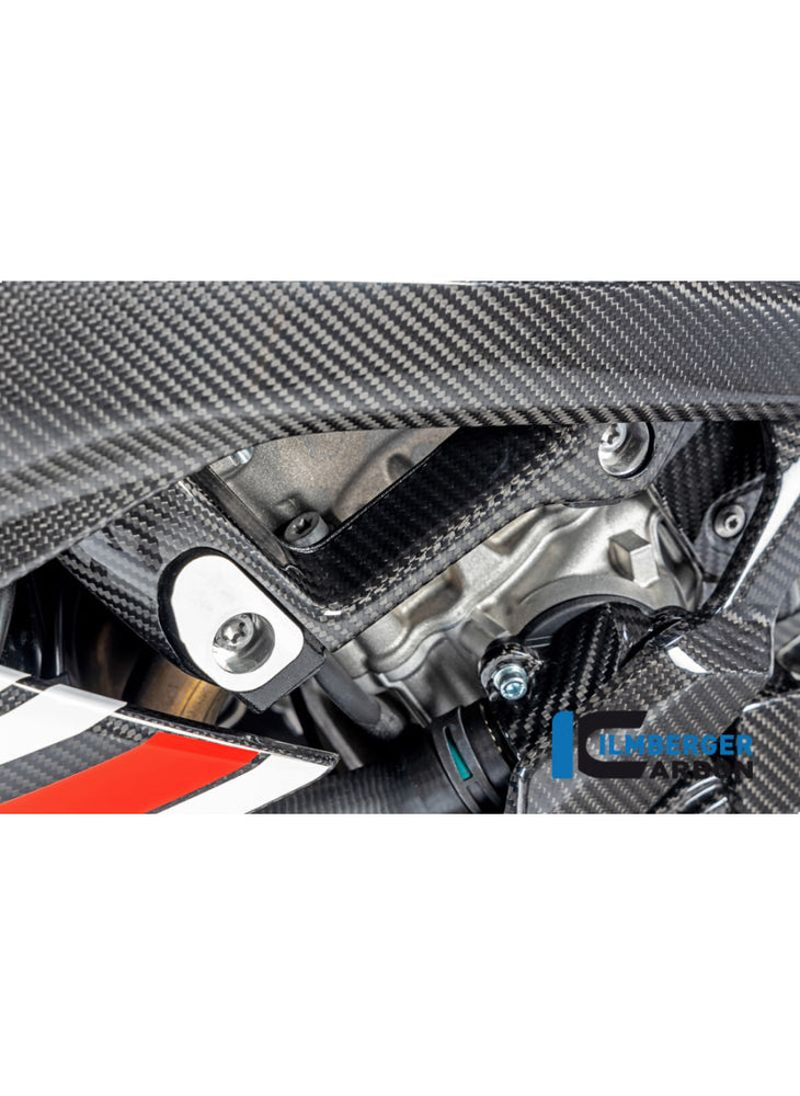 Frame Cover big left Carbon BMW M1000RR 2021+