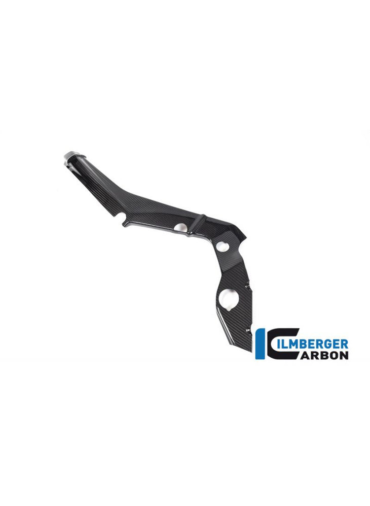 Frame Cover small left Carbon BMW M1000RR 2021+