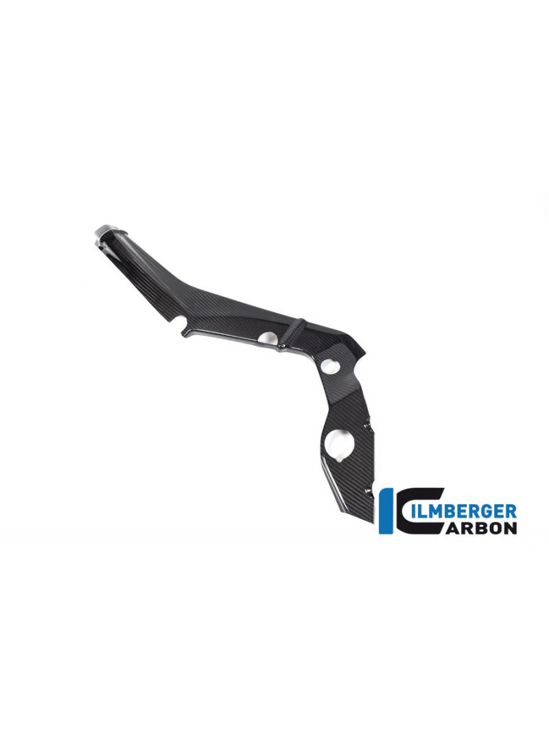 Frame Cover small left Carbon BMW M1000RR 2021+