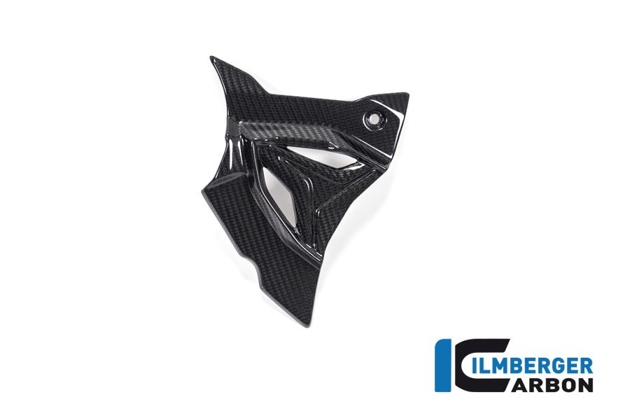 Front Squocket Cover Glossy Carbon S1000RR (2023+)