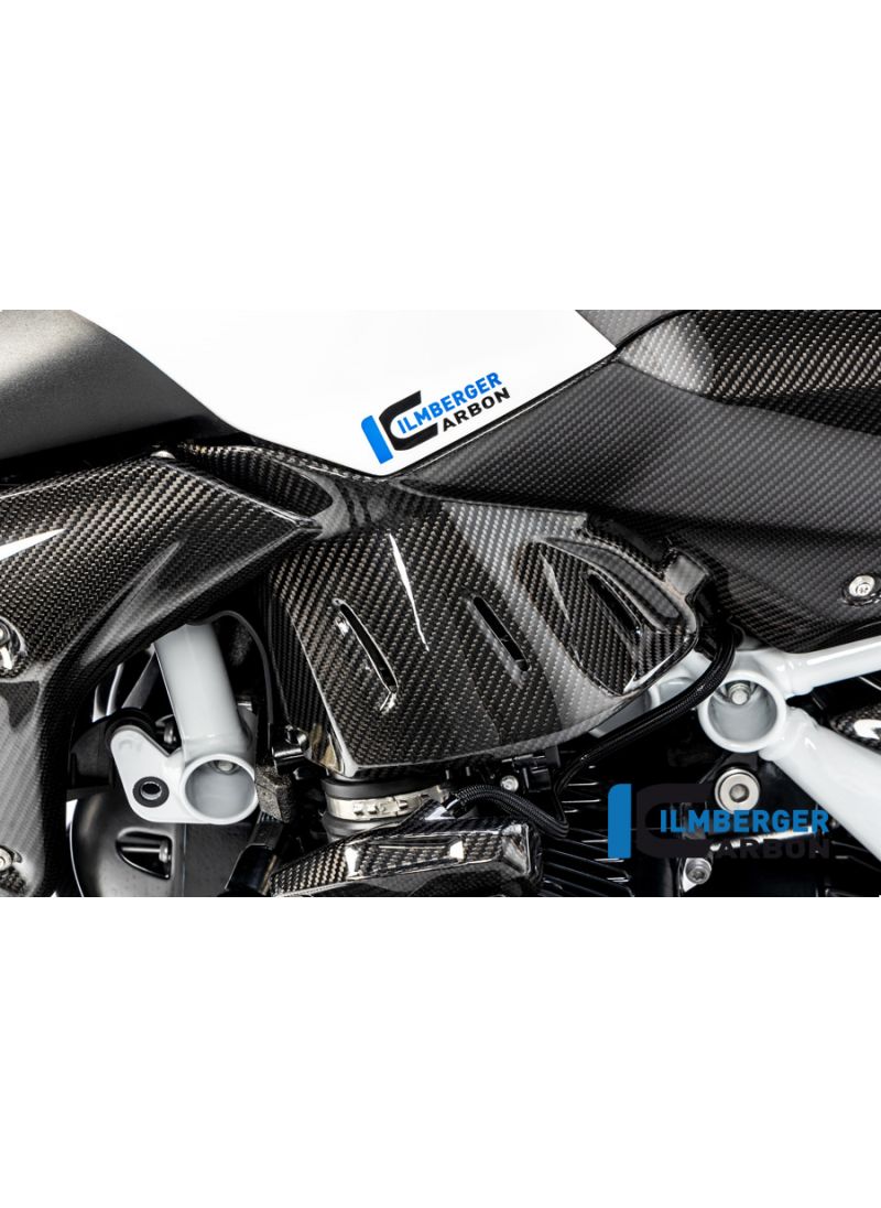 Side Panel under the Tank left BMW R1250R LC 2019+