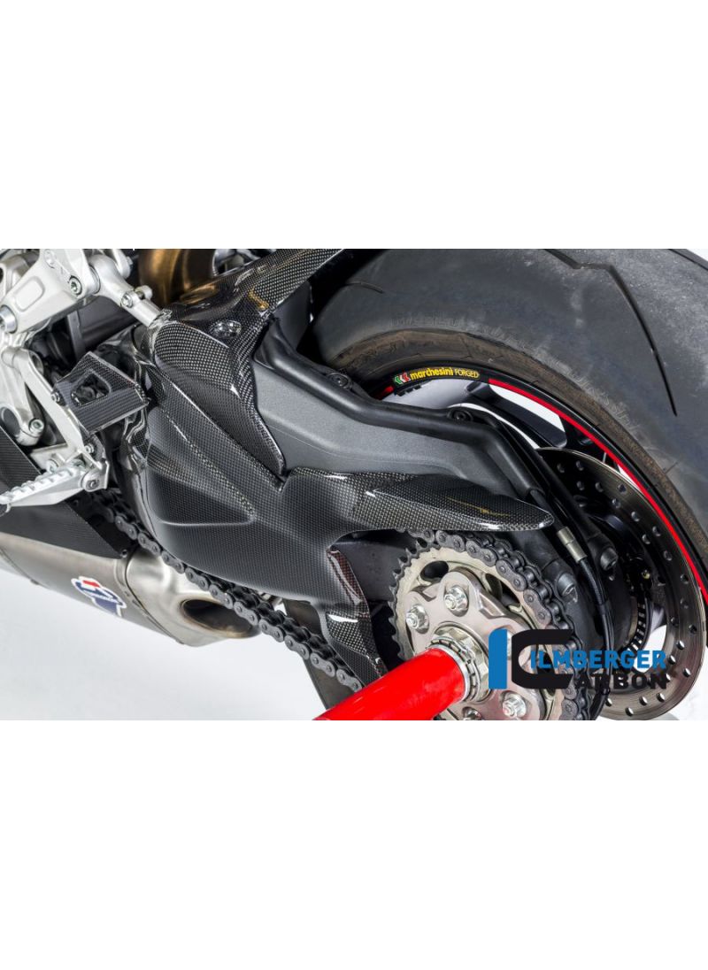 Swing Arm Cover - Ducati Panigale 1299 (all)