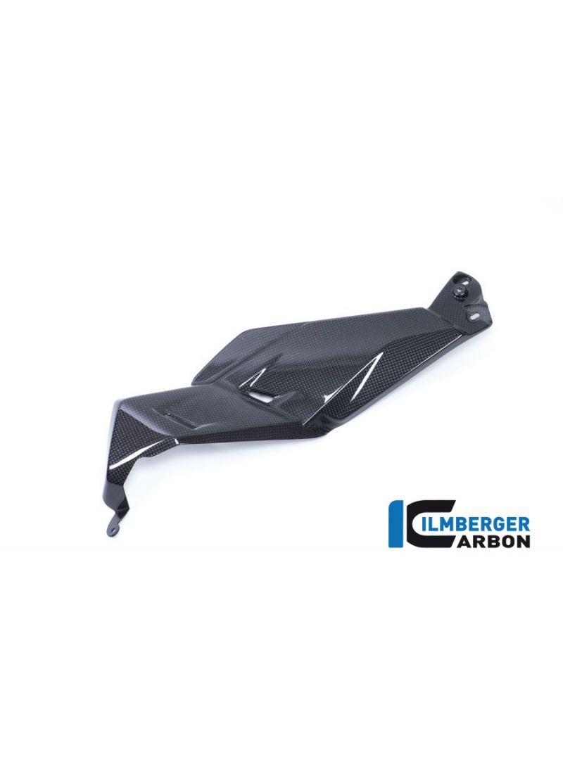 Tank Side Panel left-under carbon BMW R1200GS LC 2017+