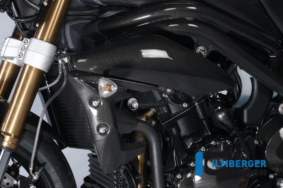 Radiator cover links carbon Triumph Speed Triple (2011-2015)