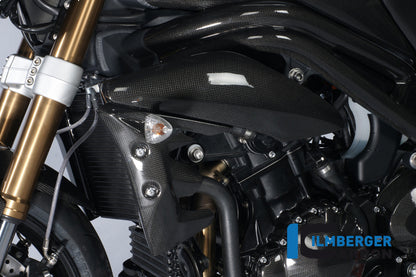 Radiator cover links carbon Triumph Speed Triple (2011-2015)