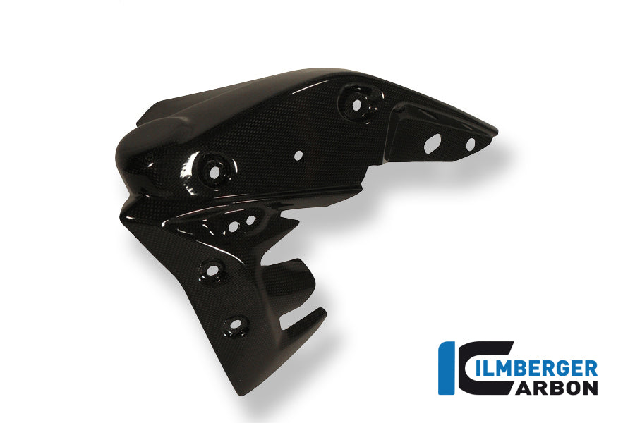 Radiator cover links carbon Triumph Speed Triple (2011-2015)