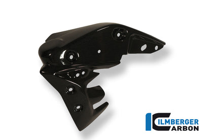 Radiator cover links carbon Triumph Speed Triple (2011-2015)