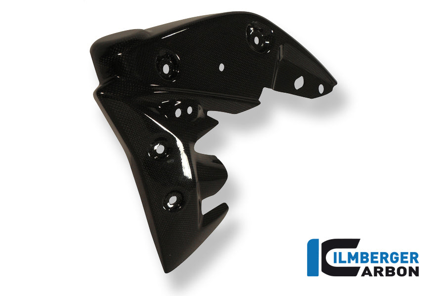 Radiator cover links carbon Triumph Speed Triple (2011-2015)