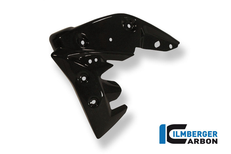 Radiator cover links carbon Triumph Speed Triple (2011-2015)