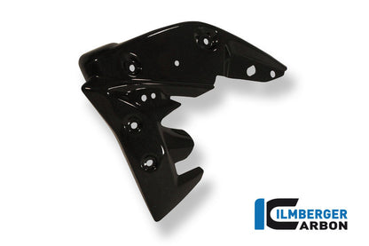 Radiator cover links carbon Triumph Speed Triple (2011-2015)