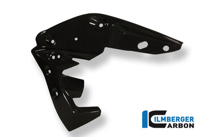 Radiator cover links carbon Triumph Speed Triple (2011-2015)