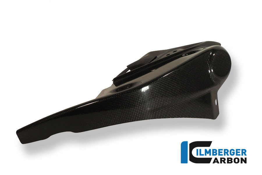 Radiator cover links carbon Triumph Speed Triple (2011-2015)