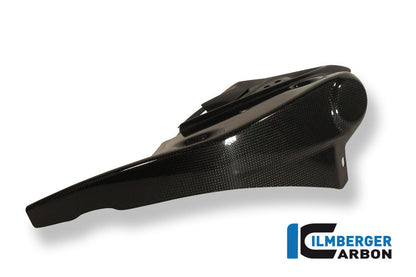 Radiator cover links carbon Triumph Speed Triple (2011-2015)