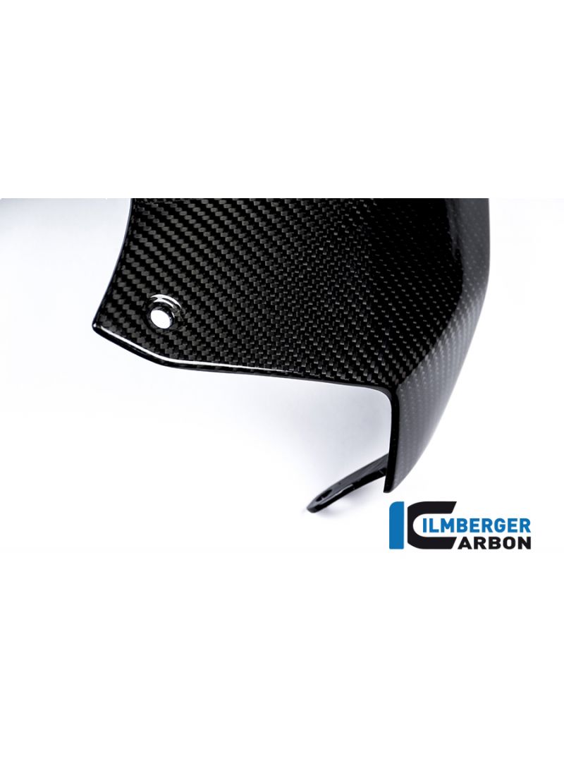 Upper Tank Cover Carbon - BMW S1000RR Street 2017+