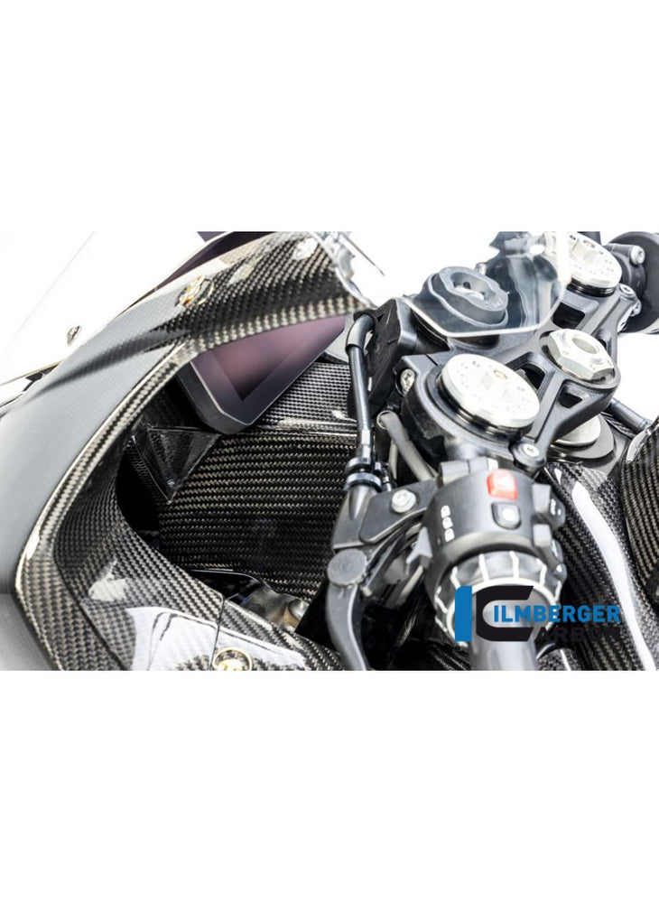 Front Fairing Holder/Instruments Holder Carbon BMW M1000RR 2021+