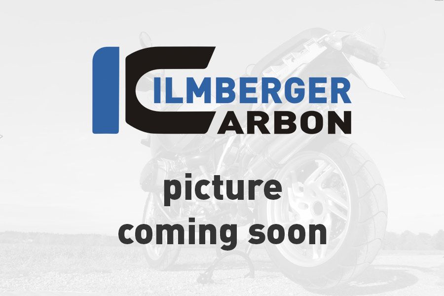 Fairing Side Panel Left Side Glossy Carbon Ducati Panigale V2 2020+ Ducati Panigale V2 Bayliss 1st Champion 20th Anniversary (2022+)