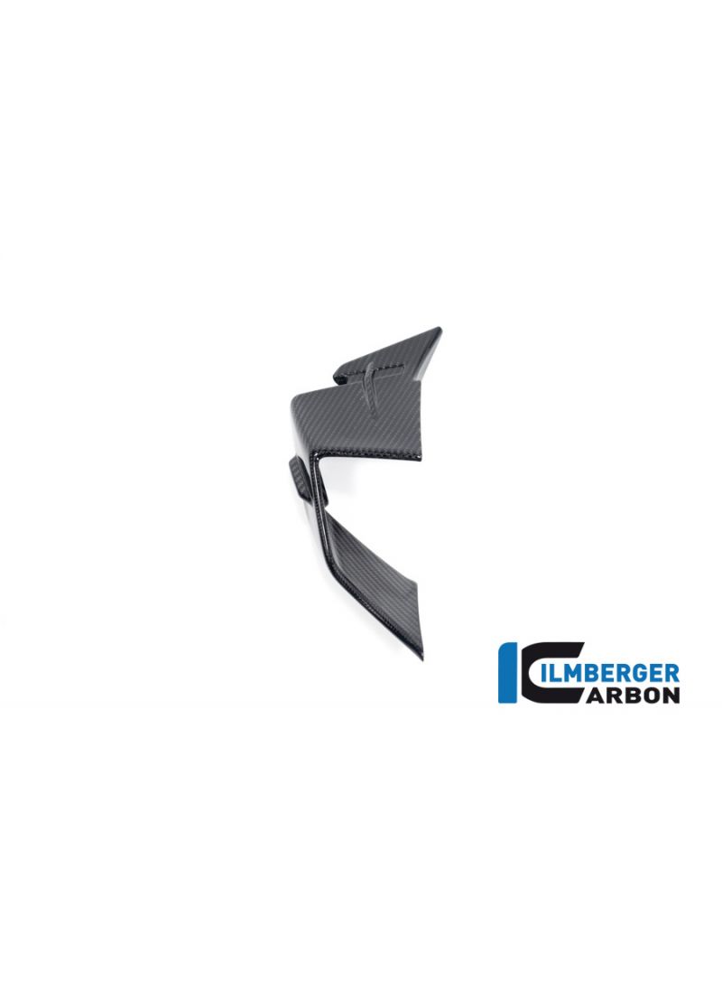 Winglet on the left side fairing glossy carbon S1000RR 2023+