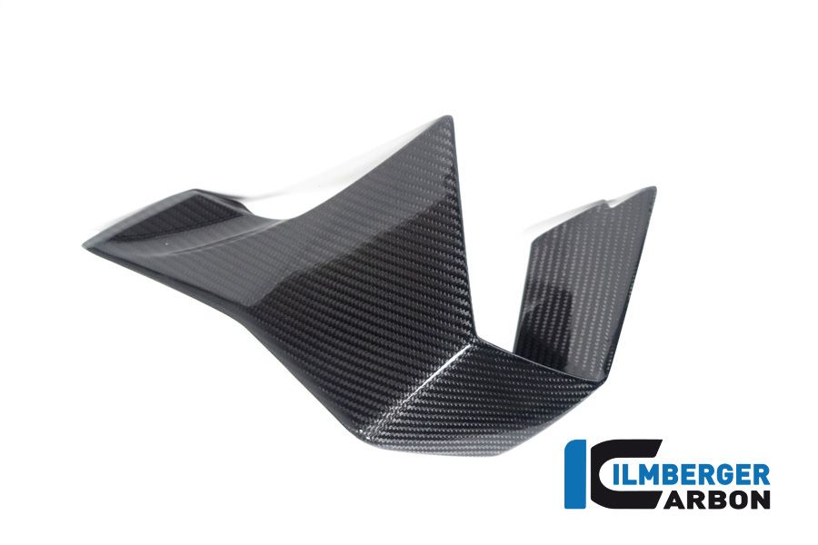 Winglet links glänzend Kohlenstoff BMW M1000RR (2023+)