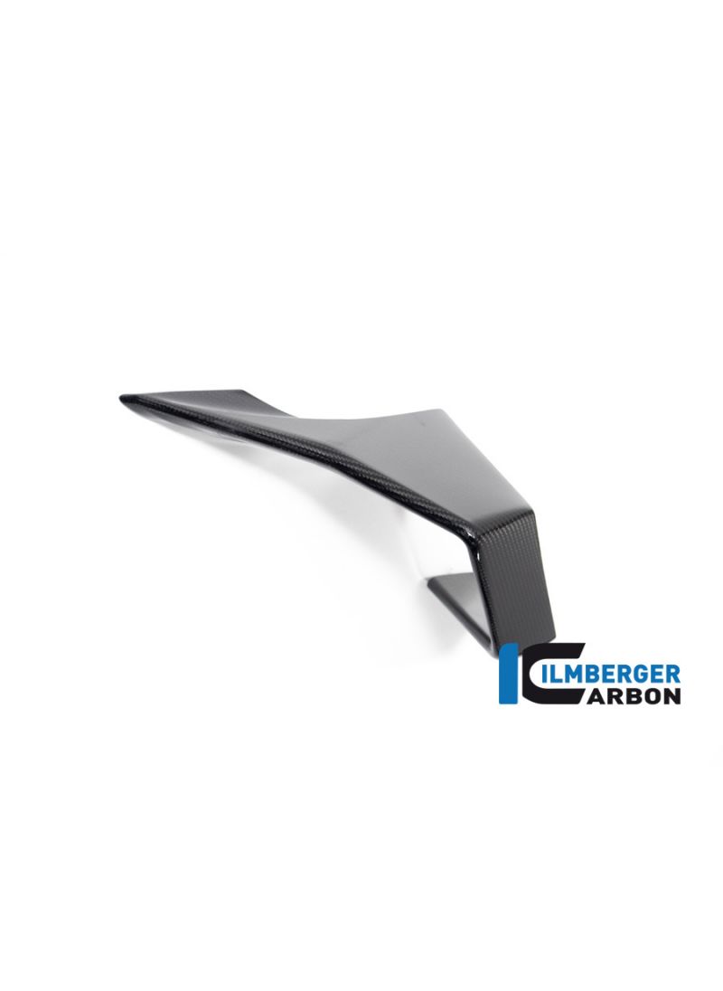 Winglet left side glossy carbon M1000RR 2023+