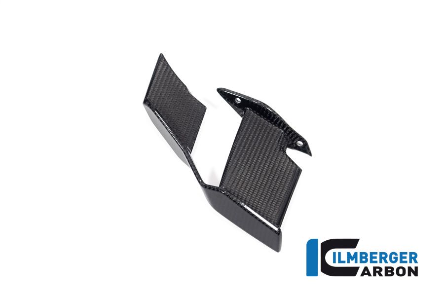 
                  
                    Winglet Left Glossy Carbon BMW M1000R (2023+)
                  
                