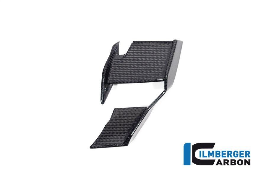 
                  
                    Winglet Left Glossy Carbon BMW M1000R (2023+)
                  
                