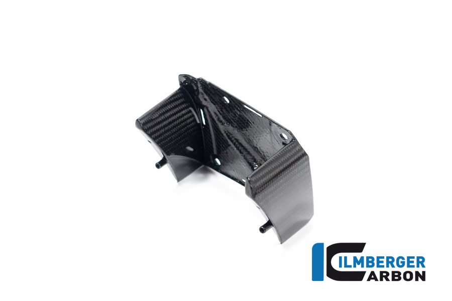 
                  
                    Inner Winglet Left Glossy Carbon BMW M1000XR (2024+)
                  
                