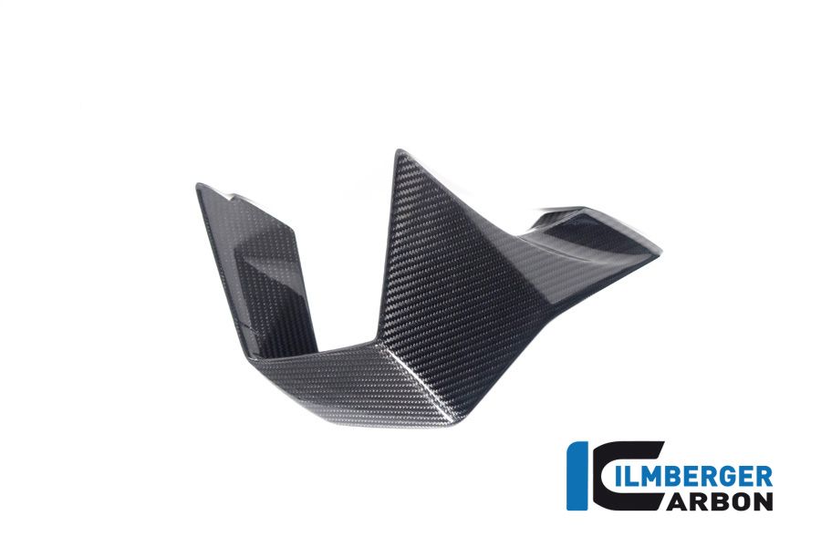 Winglet right side glossy carbon M1000RR 2023+ BMW M 1000 RR (2023+)