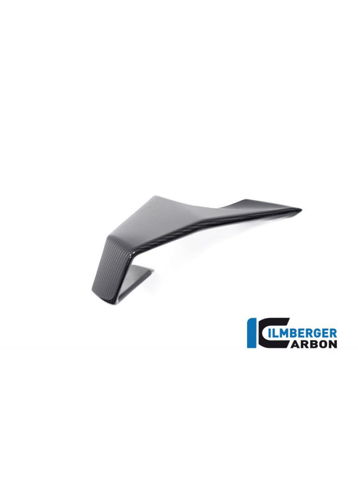 Winglet right side glossy carbon M1000RR 2023+