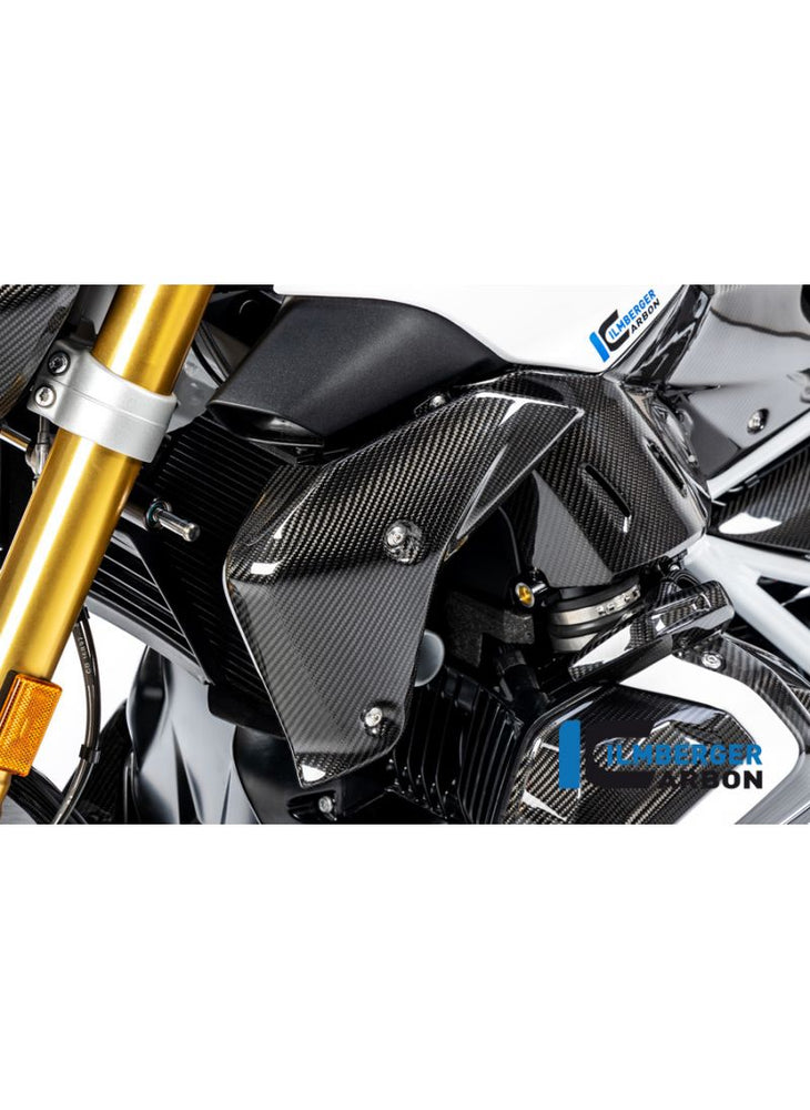 Watercooler Cover left BMW R1250R LC 2019+