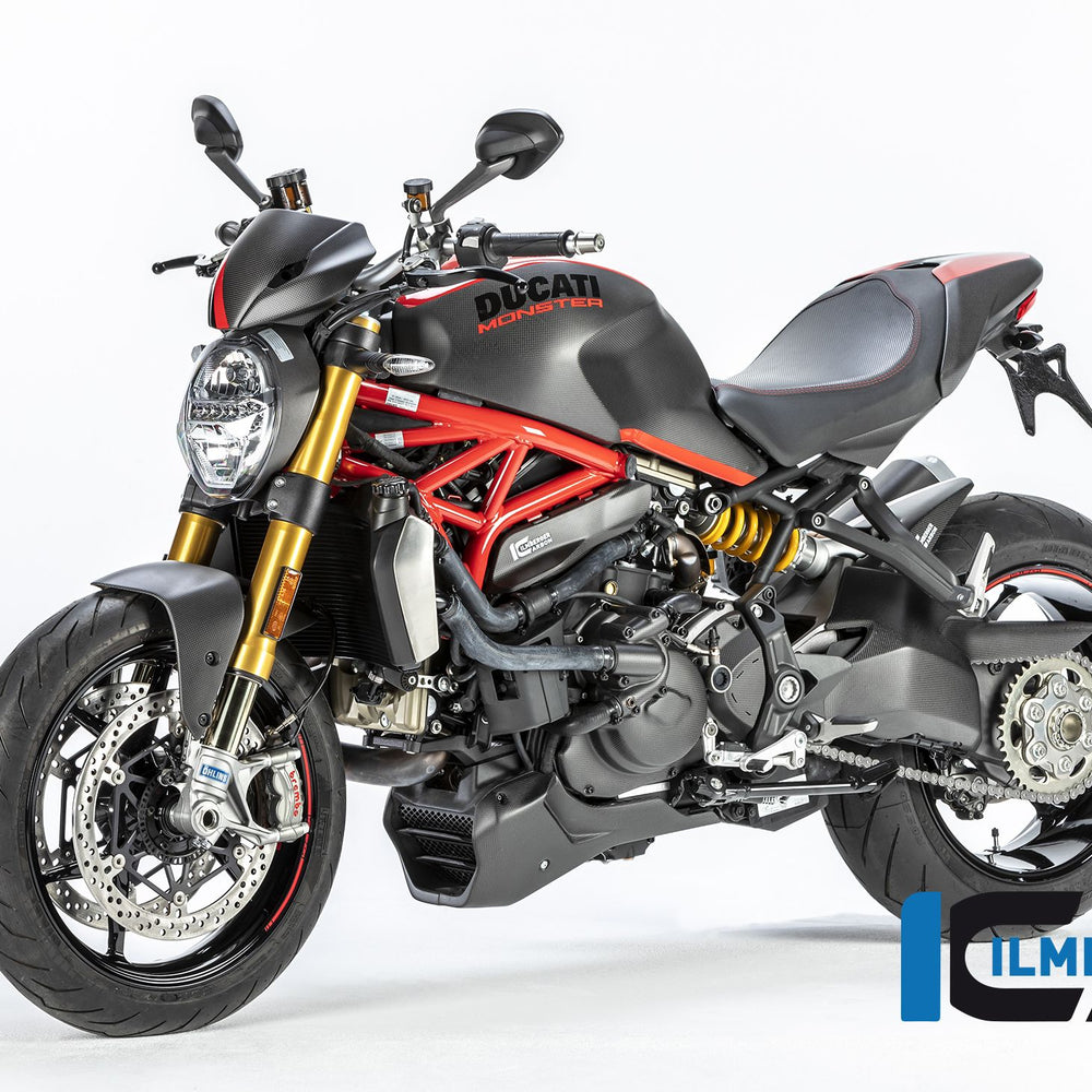 Guardia de agua de agua Matt Carbon - Ducati Monster 1200 (2017-2021)