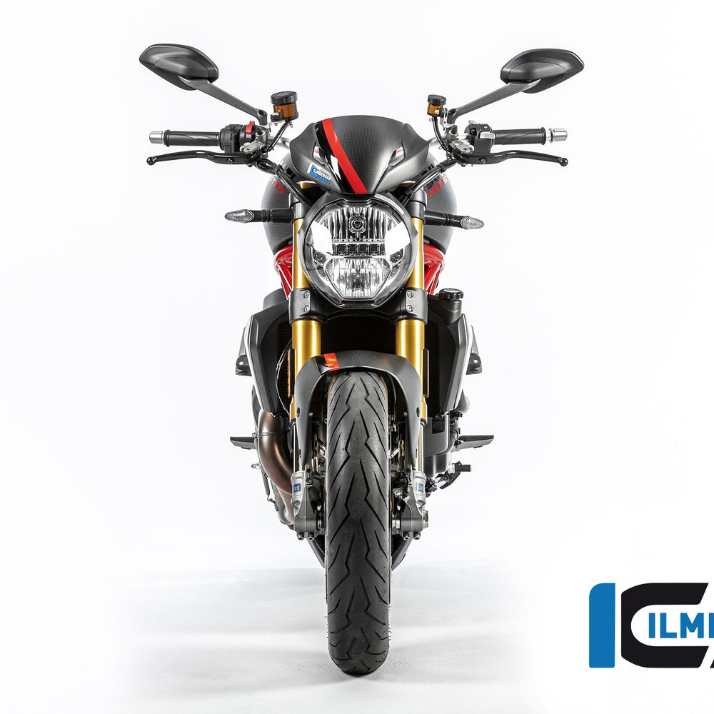 
                  
                    Windschutzscheibe inklusive Halbhalter Matt Carbon - Ducati Monster 1200S (2017-2021)
                  
                