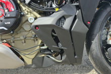 Motorblokbeschermer mat carbon Ducati Streetfighter V4 S (2025+)