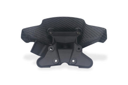 Windscherm mat carbon Ducati Streetfighter V4 (2025+)