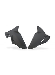 Belly Pan mat carbon Ducati Diavel V4 RS (2025+)