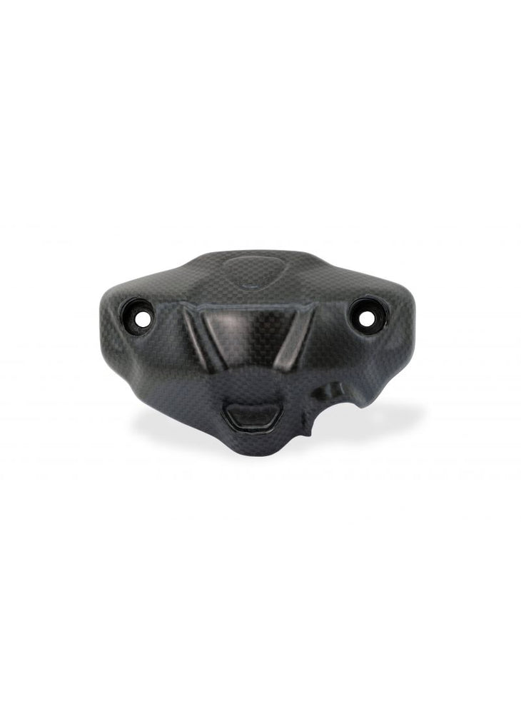 
                  
                    Instrument Cover Matt Carbon Ducati Monster 950 2021+
                  
                