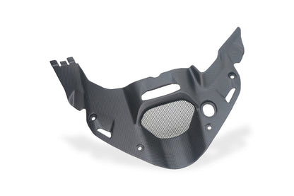 Onderste luchtinlaatcover mat carbon Ducati Multistrada V4 RS (2025+)