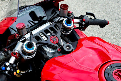 Mat carbon contactslotcover Ducati Panigale V4 Tricolore Italia (2025+)