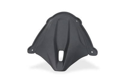 Mat carbon paneel onder het windscherm Ducati Panigale V4 S (2025+)