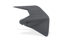 Mat carbon achterbrugcover Ducati Panigale V4 Tricolore (2025+)