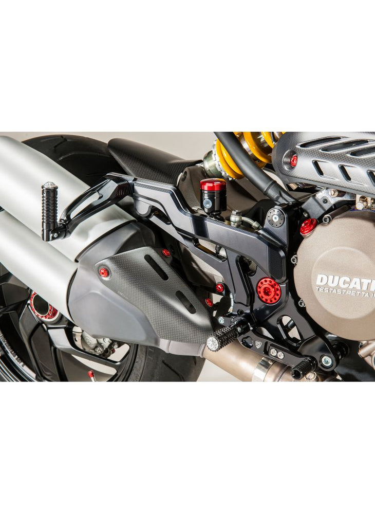 Side Exhaust Protection Matt Carbon Ducati Monster 1200 2014-2016